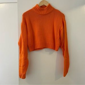 Aritzia Cropped Turtleneck Sweater